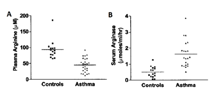 l-arginine astma